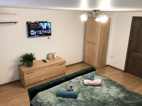 Ultra Central Apartment, Free Parking Oradea - Stray Cats