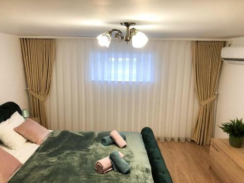 Ultra Central Apartment, Free Parking Oradea - Stray Cats
