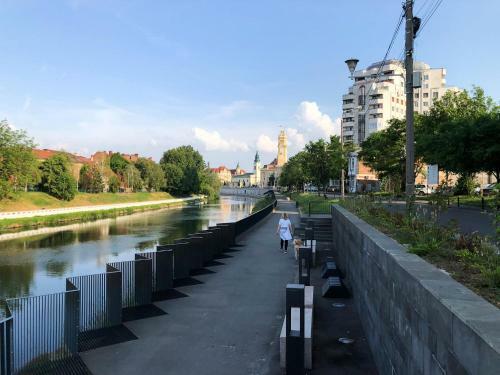Ultra Central Apartment, Free Parking Oradea - Stray Cats