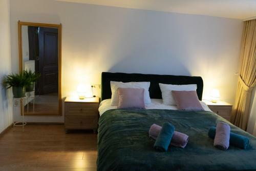 Ultra Central Apartment, Free Parking Oradea - Stray Cats
