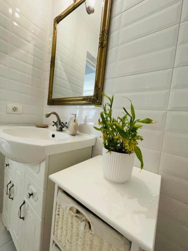 Apartament Mamaia Clasic