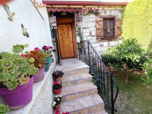 Ag Home