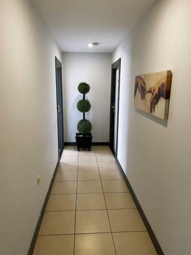 Hotel Hann Otel