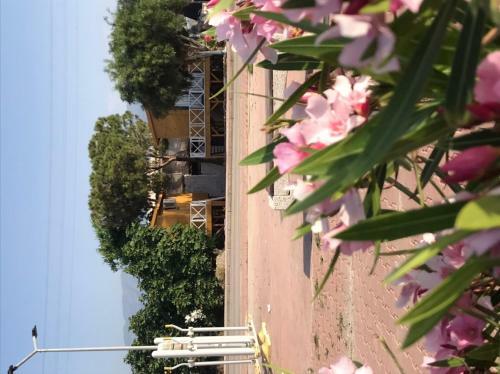 Apartamento Rota Bungalow