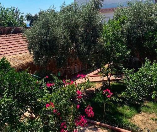 Hotel Moy-side