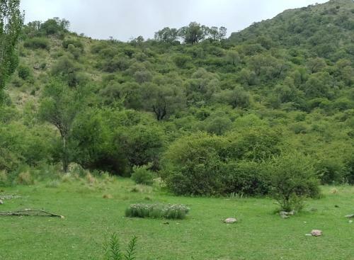 Potrero Del Rey