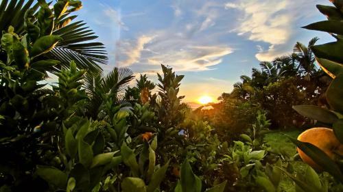 Acogedora Casa de Campo Con Vista A La Monta�a