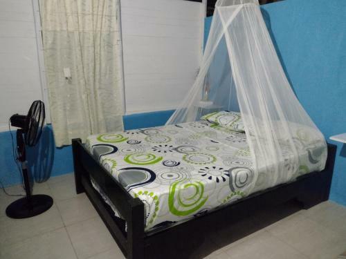Eco Hostal Los Cocos