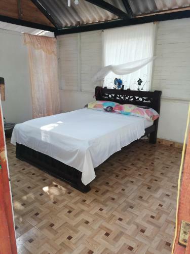 Eco Hostal Los Cocos