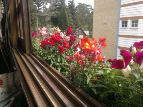 Apartamento Ares Da Serra