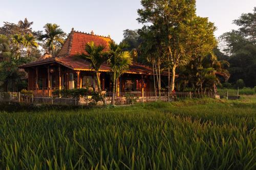 Villa Tau