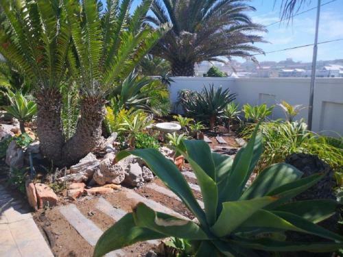 Apartamento Orca House