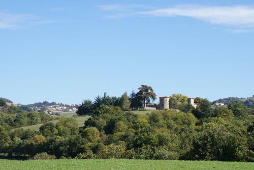 Bed & Breakfast Chateau Du Besset