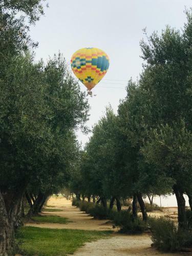Guadalupe Valle Glamping