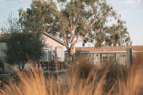 Beautiful Ranch House On Equestrian Property - R3