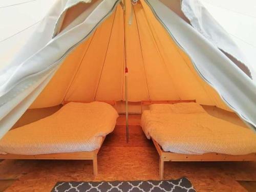 Beleef Banhout - Glamping