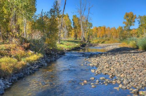 Pine River Model Cabin - 1 Br - Bayfield