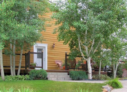 Oreilly Two Home Combo