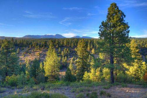 Elk Mountain Retreat