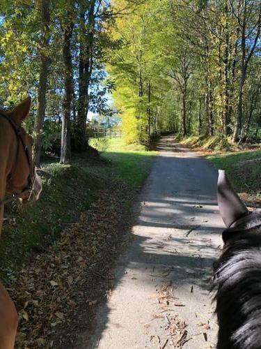 Apartamento Haras Du Sablon Au C?ur Du Parc R�gional Du Perche