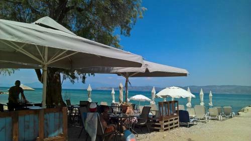 Apartamento Waves Resort