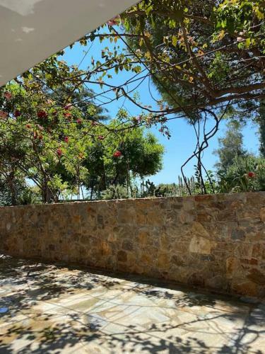 Villa Agave