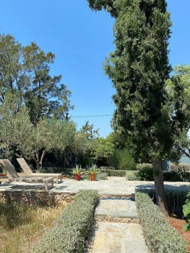 Villa Agave