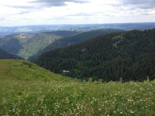 Hostal Pension Altvogtshof