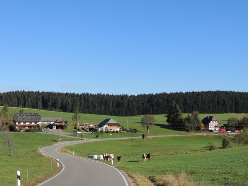 Hostal Pension Altvogtshof