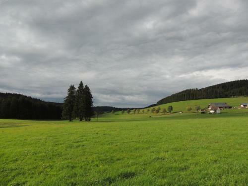 Hostal Pension Altvogtshof