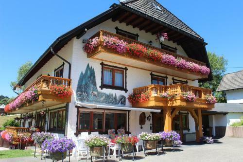 Hostal Pension Altvogtshof
