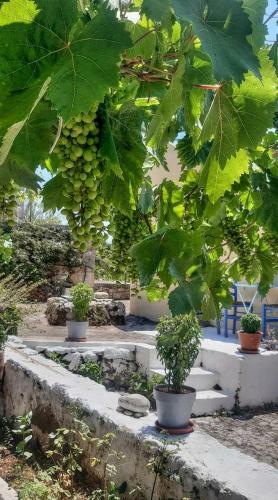 Villa Agrilias With Private Pool