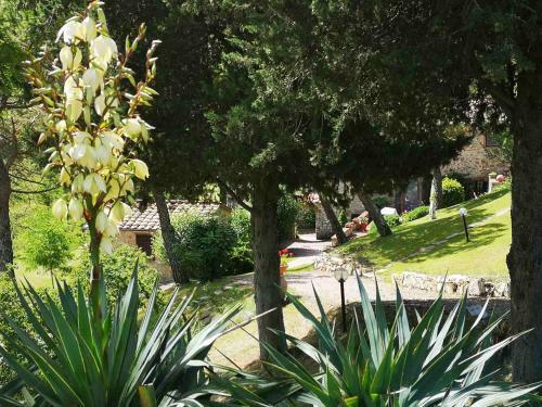 Romantic 2br 2ba Cottage In Castellina In Chianti
