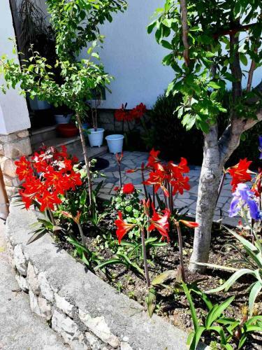 Apartamento Rajkaapp