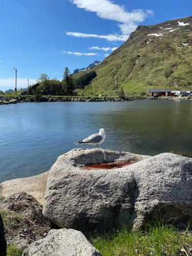 Brustranda Fjordcamping
