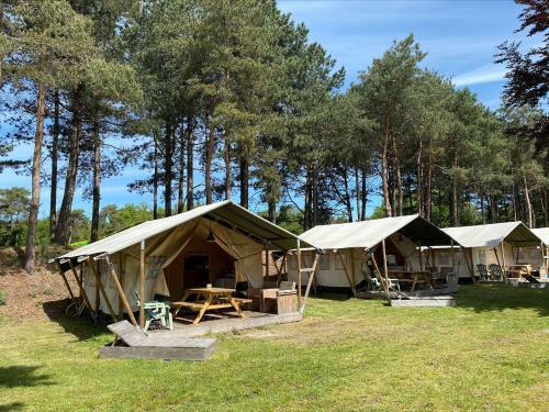 Safaritent Vakantiepark de Bergen Wanroij