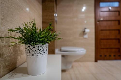 Apartament Stojak�wka