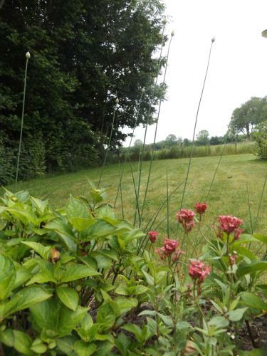 Bed & Breakfast Het Broekeroord