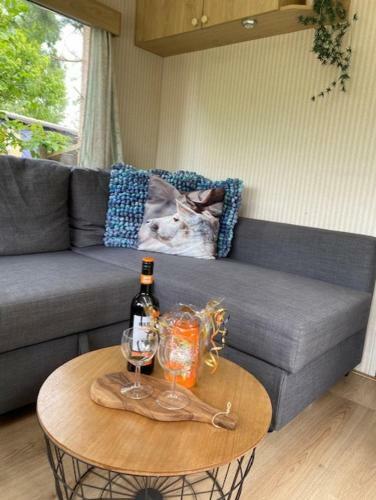 Leuk Chalet Gelegen 250 M Van Het Dwingelerveld.