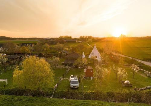 Slapen Tussen de Schapen In de Tante Tipi
