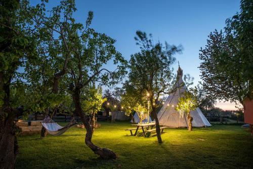 Slapen Tussen de Schapen In de Tante Tipi
