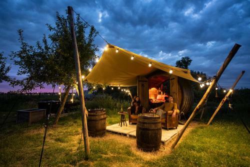Slapen Tussen de Schapen In Een Tiny Wineyhouse
