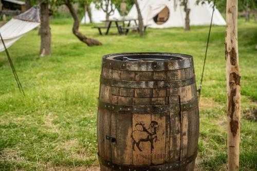 Slapen Tussen de Schapen In Een Tiny Wineyhouse