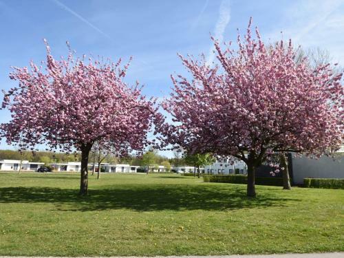 Majestic Villa In Zeewolde With Garden