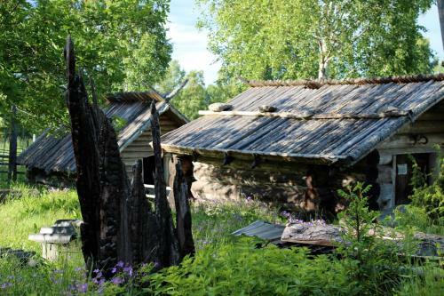 Lodge Bo Primitivt I H�rbret P� Oklag�rd