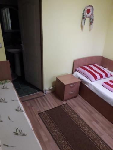 Agroturismo Pensiunea Anca Sapanta