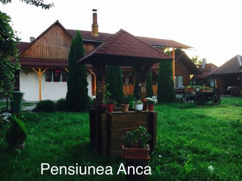 Agroturismo Pensiunea Anca Sapanta