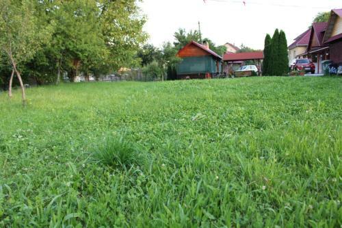 Agroturismo Pensiunea Anca Sapanta