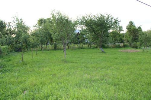Agroturismo Pensiunea Anca Sapanta