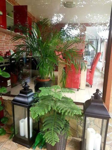 Casa Alex